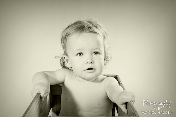 Copyright www.monicahaugen.com