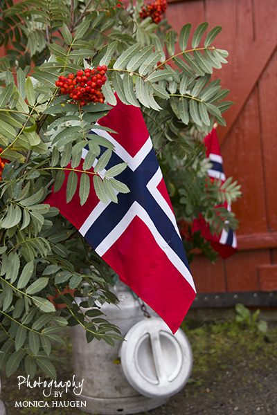 Copyright www.monicahaugen.com