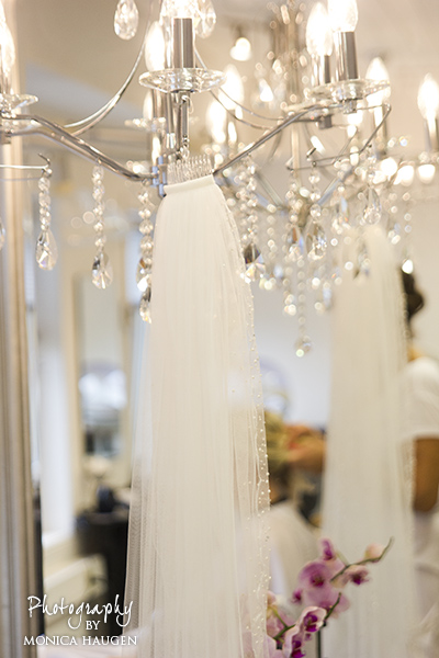 Copyright www.monicahaugen.com