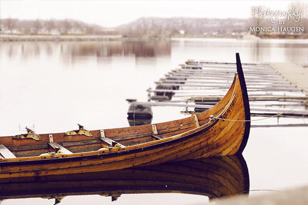 Copyright www.monicahaugen.com