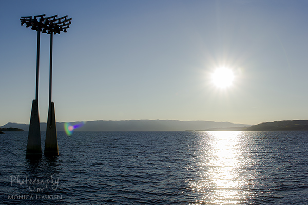 Copyright www.monicahaugen.com