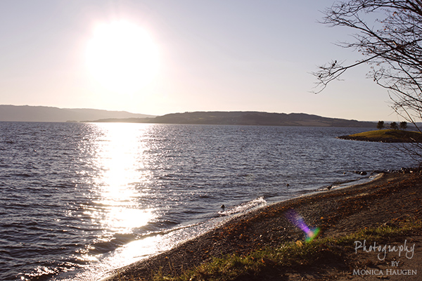 Copyright www.monicahaugen.com