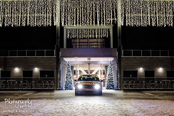 Copyright www.monicahaugen.com