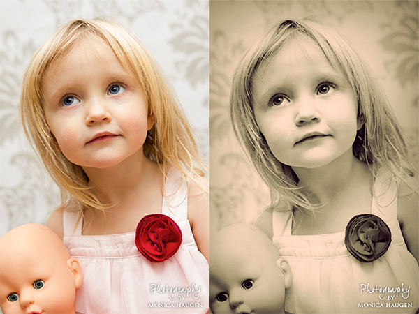 Copyright www.monicahaugen.com