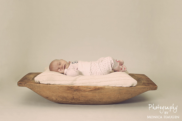 Copyright www.monicahaugen.com