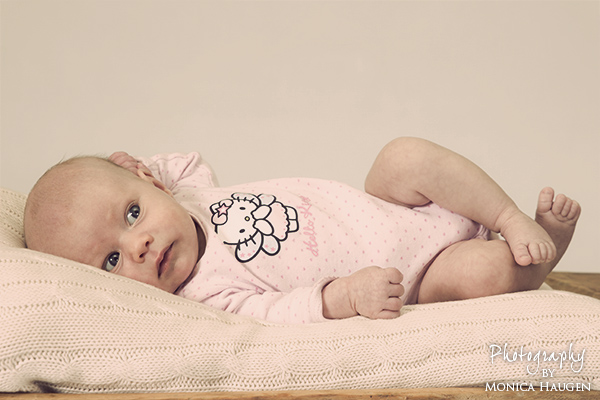 Copyright www.monicahaugen.com