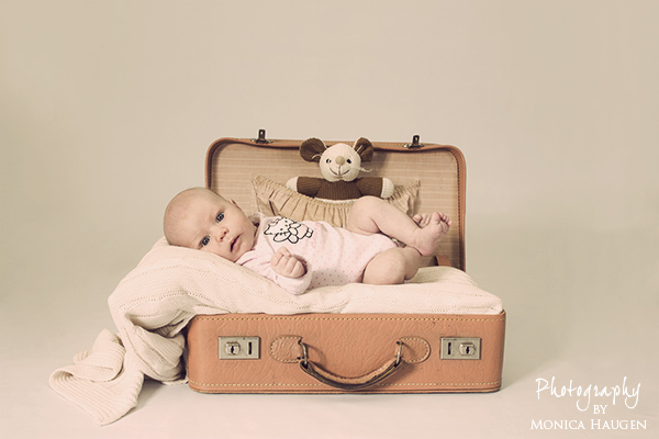 Copyright www.monicahaugen.com